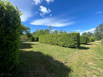 Xl premium pitches separated by hedges