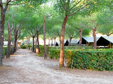 Shaded pitches