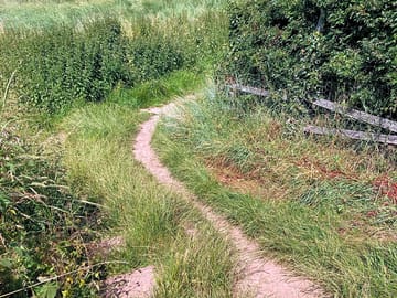 Entrance to the site