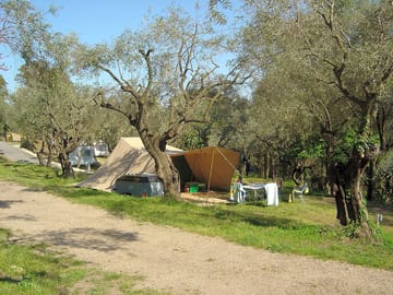 Tent pitches