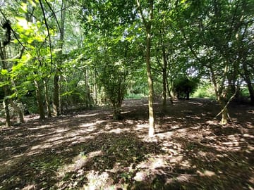 Camping in norfolk