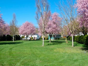 Camping field