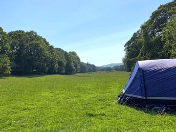 Spacious and well-maintained grounds