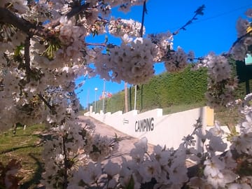 Park entrance