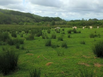 View from the shepherd's hut
