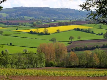 Herefordshire countryside