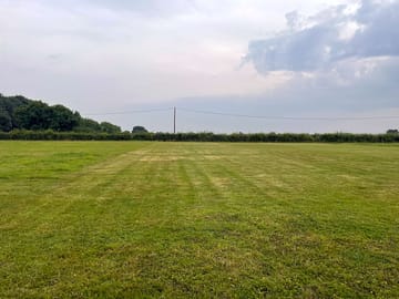The paddock