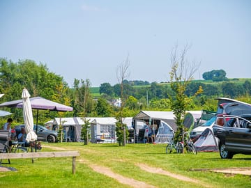 Around the site