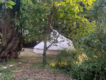 Bell tent through the trees