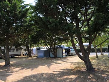 Pitch under the trees