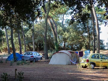 Pitches under the trees