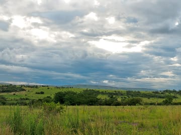 Beautiful view towards witwatersrand mountain