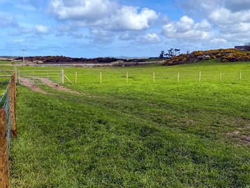 Grassy pitches