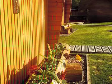 Flowers by the door