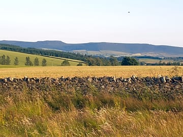 Simonside