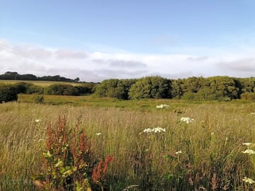 One of the views from the site