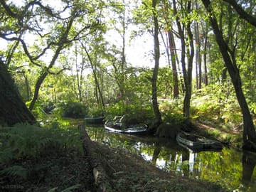 An ideal fishing spot