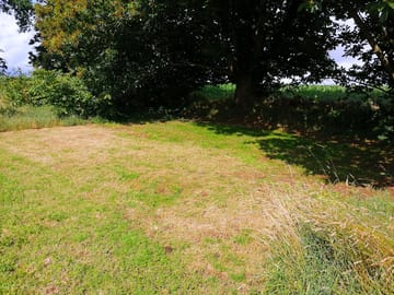 Well-maintained and level grounds