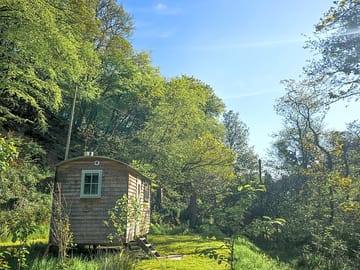 Bathed in evening sunshine