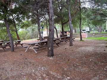 Area barbecue