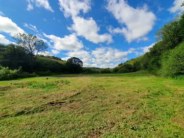 Green surroundings