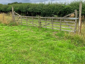 Grass pitches