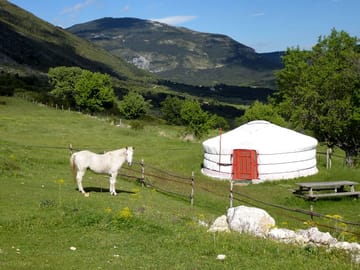 The yurt