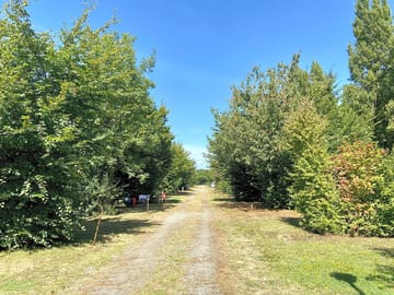 Around the site
