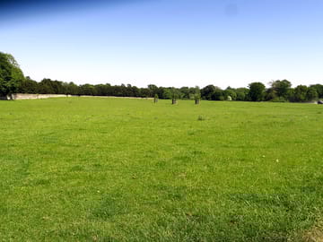 Large level field