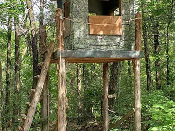 Tree fort