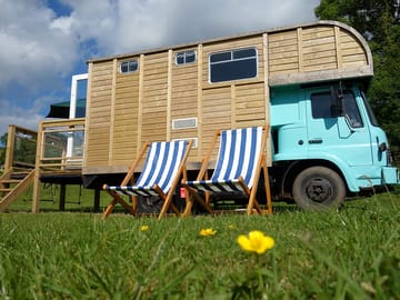 Custard the Horse Box