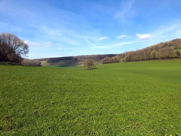 Quiet country location