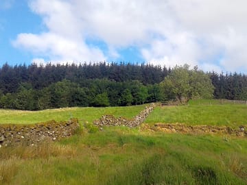 Camping field