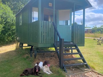Woodpecker shepherds hut