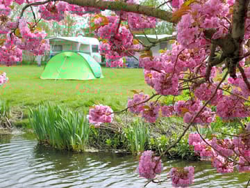 Waterside pitch