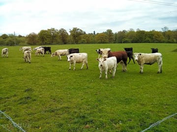 Lower gages farm camping & caravanning