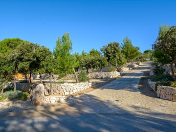 Pitches surrounded by trees