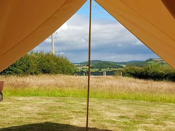Bed with a view