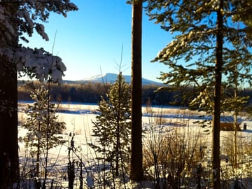 Snow-covered view in november
