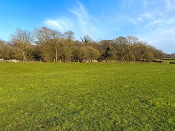Ancient woodland