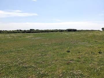 View of camping field