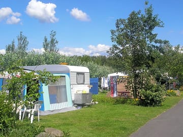 Leafy site