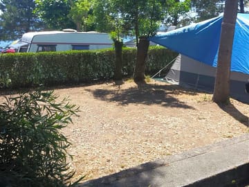 Pitches marked out by trees and bushes