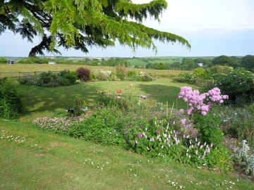 The garden