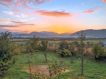 Visitor image of The orchard at sunset