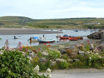 Parrog
