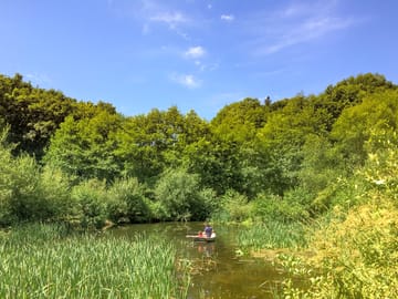 The boat on the pond