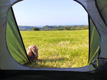 Pitch with views