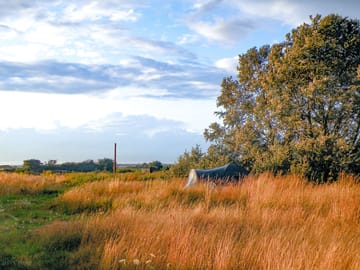 Grass and earth