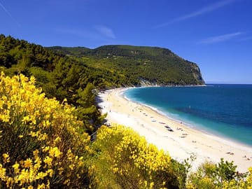Gorgeous beach and turquoise sea